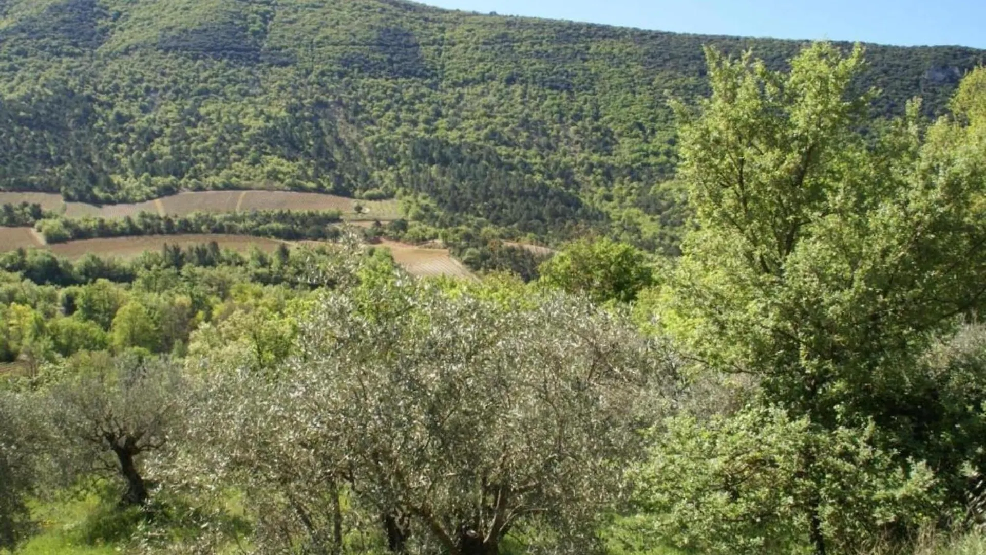 Cosy Studio In Drome With Shared Pool Montbrun-les-Bains 0*,